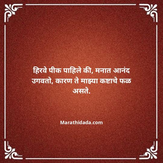 shetkari-quotes-in-marathi-041